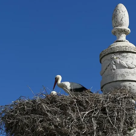 1977 ゲストハウス ファロ